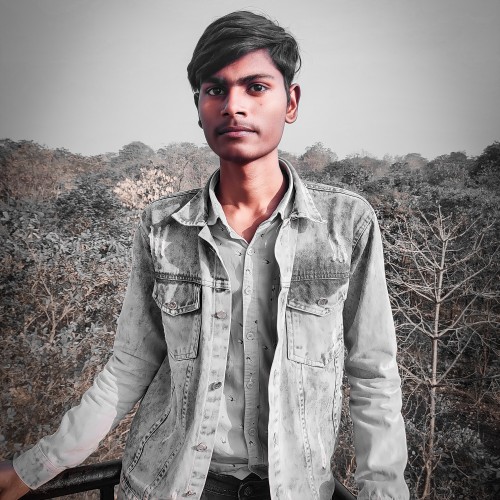 Avinash  K.