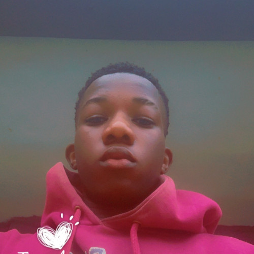 Damilare  A. profile photo