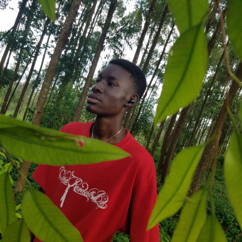 Igune  B. profile photo