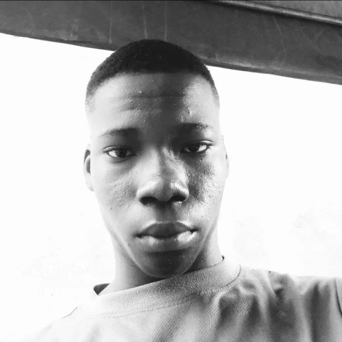 Onyebuchi  S. profile photo