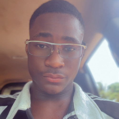 David v. profile photo