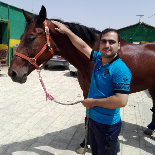 majid g. profile photo