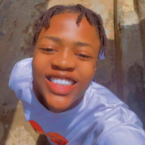 King K. profile photo