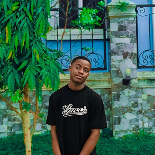 Ugochukwu C.