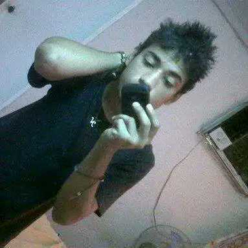 Danilo B. profile photo