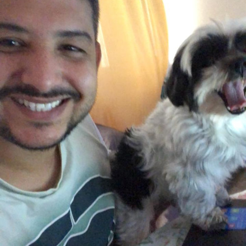 Ivan Trindade  d. profile photo