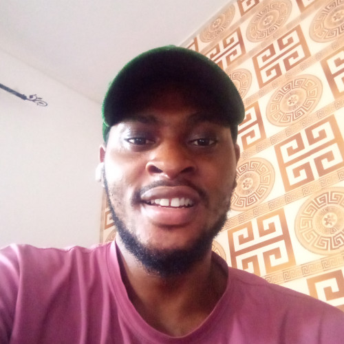 Olamide O. profile photo