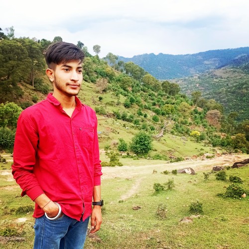 Mittu V.