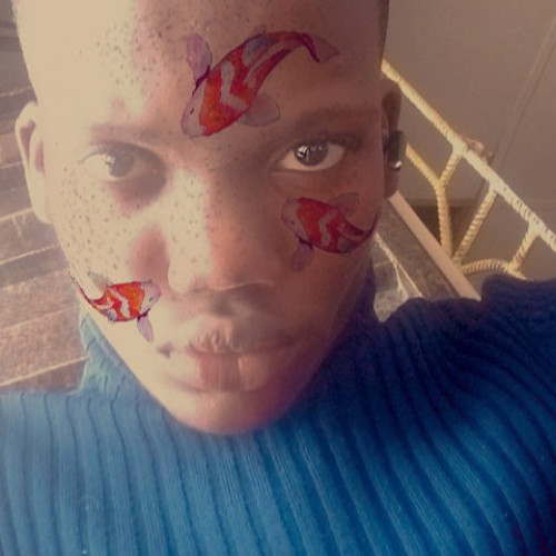 Daniel D. profile photo