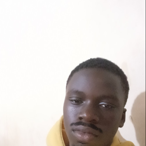 Wizzy W. profile photo