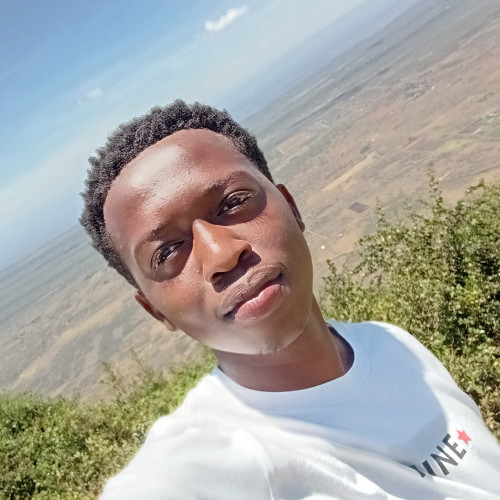 Elvis M. profile photo