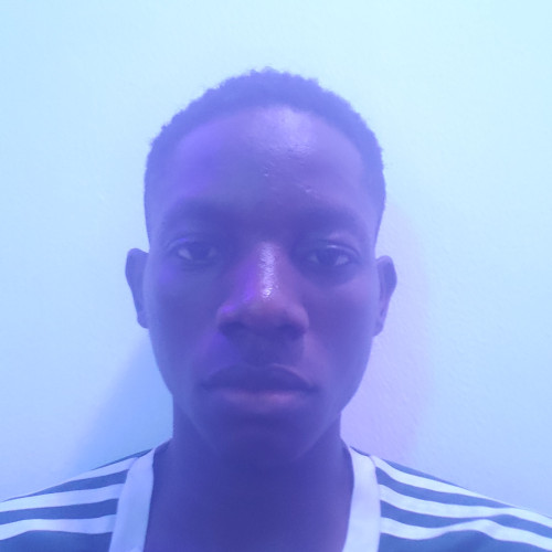 Adenekan  A. profile photo