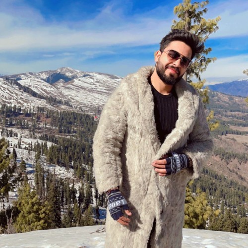 Ankit V.
