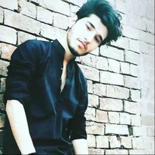taimoor m.
