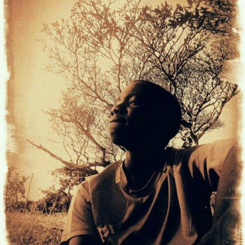 Josh  W.