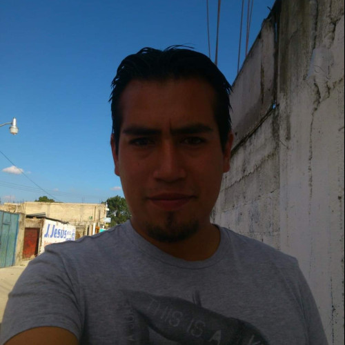 Miguel  P. profile photo