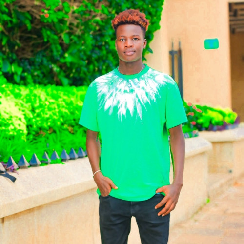 Liams N. profile photo