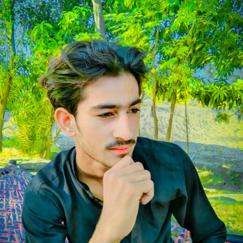 Sabtain  B. profile photo