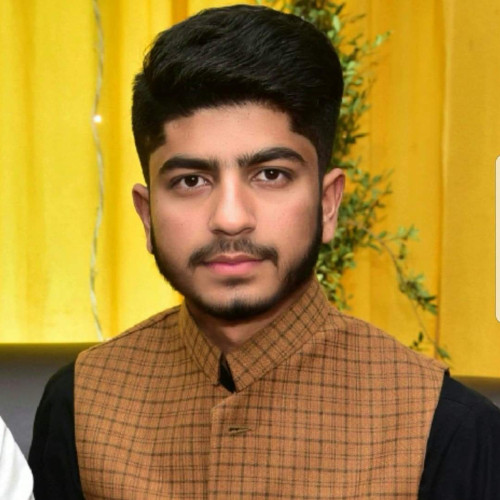 Husnain  M.