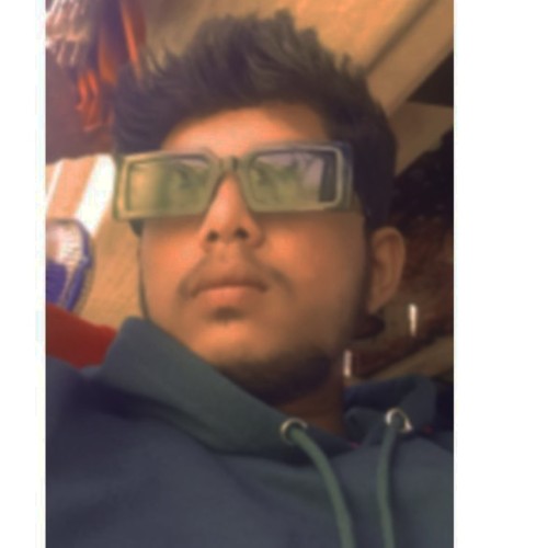 Vineet K.