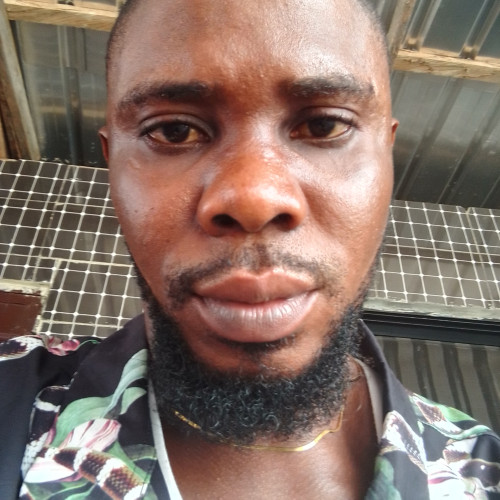 Elvis shola T. profile photo