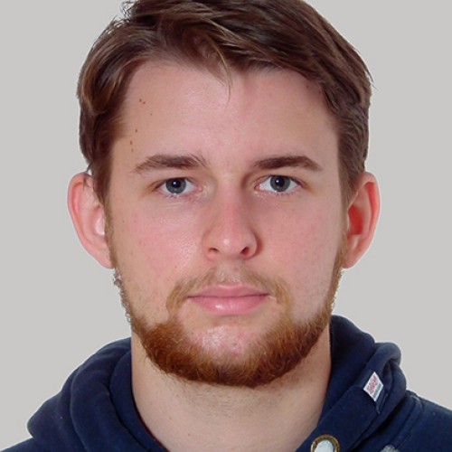 Mikhail  P.