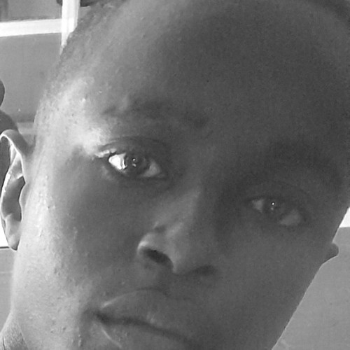 Paul  N. profile photo