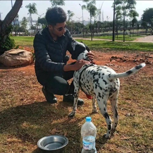 Mehdi M. profile photo