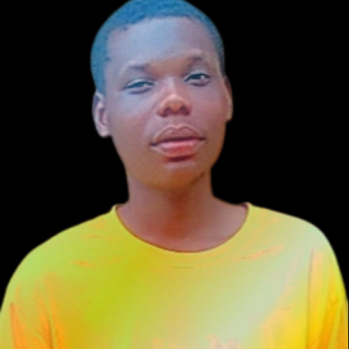 Adeleke J.