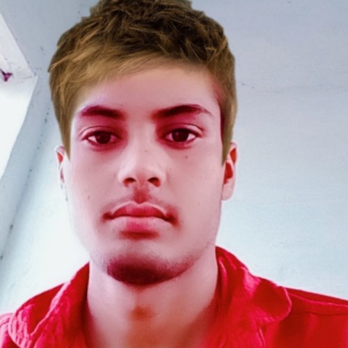 Vishnu K.