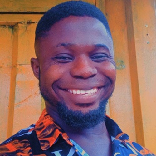 Chinemerem  N. profile photo