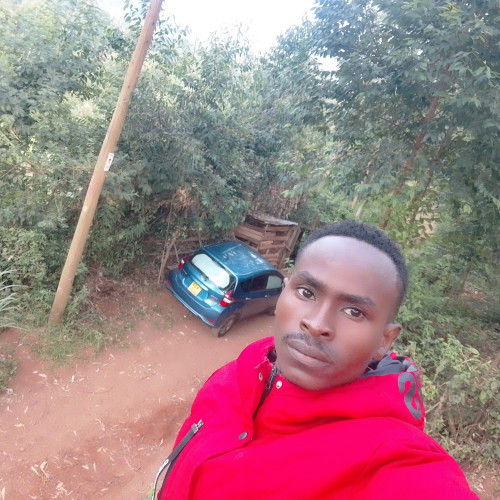 James N. profile photo