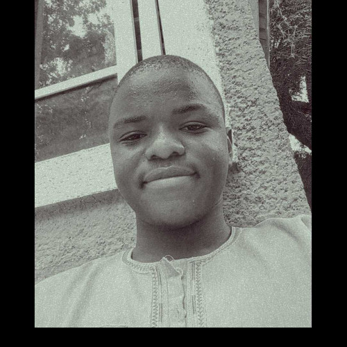 Ibrahim U. profile photo