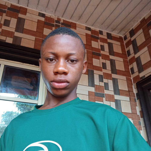 chikamso d. profile photo