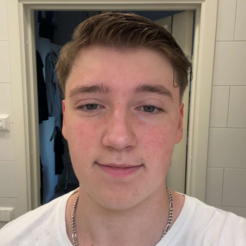 Max F. profile photo