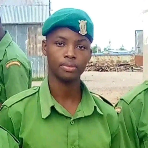 Dennis  M. profile photo