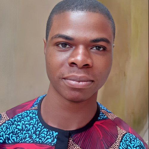 Chisom F. profile photo