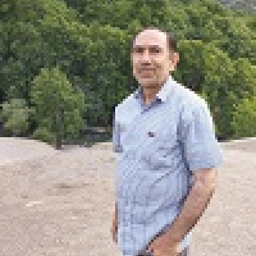 ali s. profile photo
