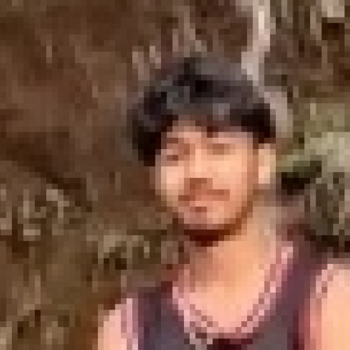 Bishwajit S.