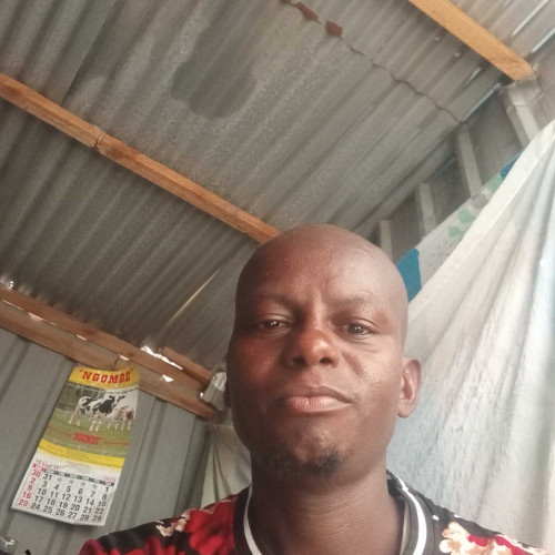 Dominic m. profile photo