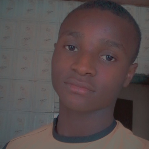 Christopher uche  O. profile photo