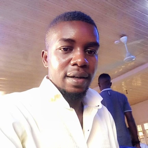 Emodi Chimezie L. profile photo