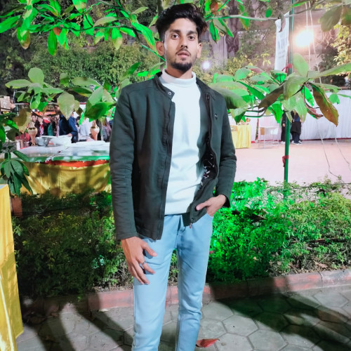 Aditya S.