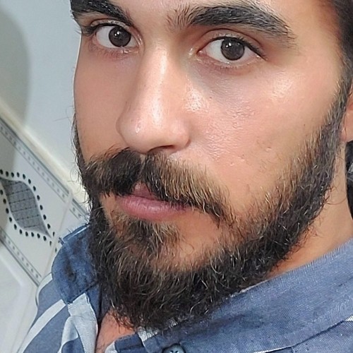 Hamidreza  M.