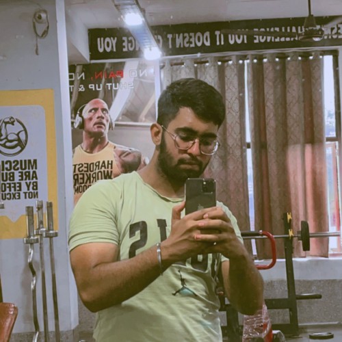 Kartik N.