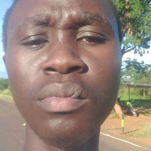 Brian O. profile photo