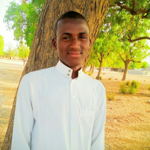 Bello M. profile photo