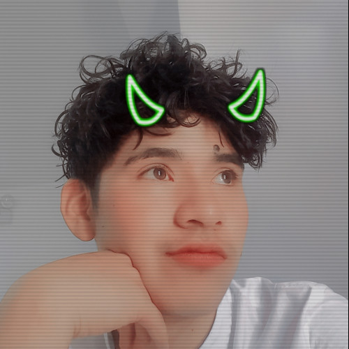 Max C. profile photo