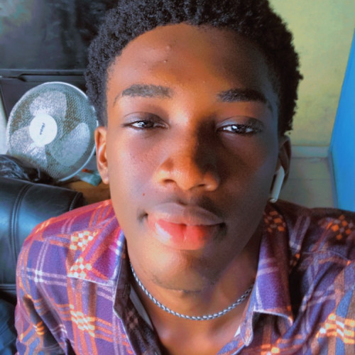 David D. profile photo