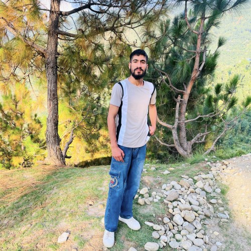 Shaib M. profile photo